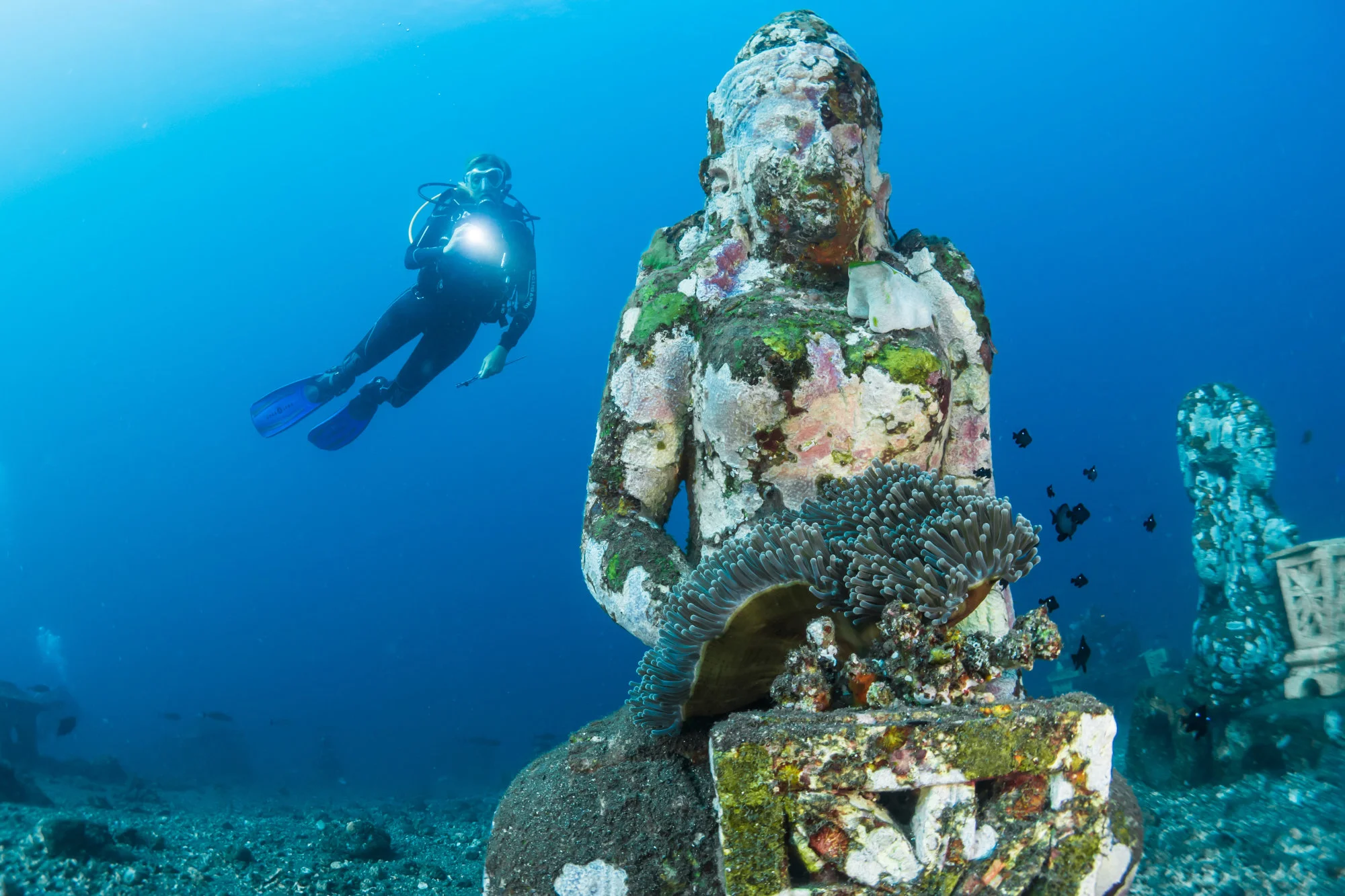 PADI Diving Courses in Bali