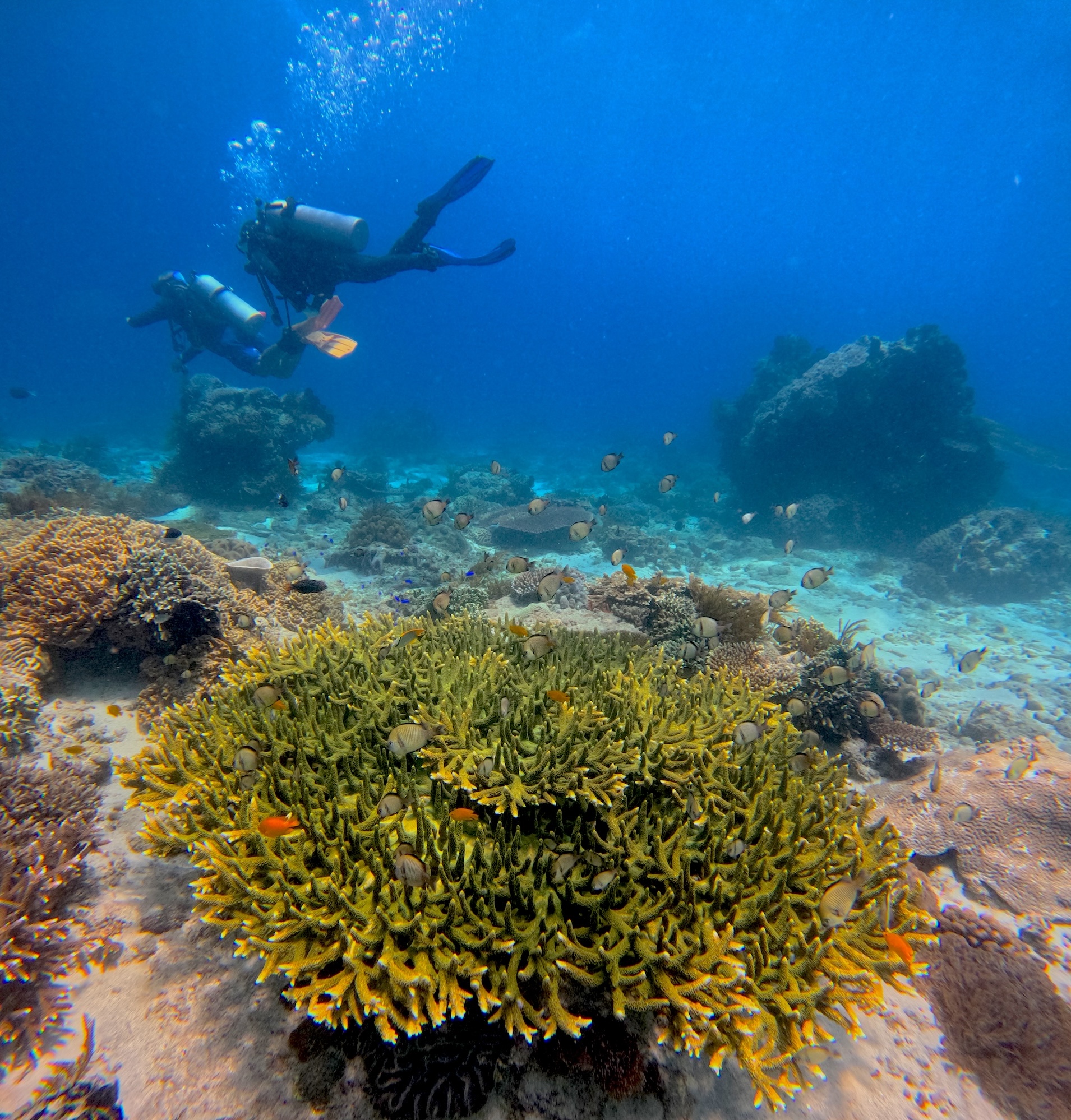 Dive sites in Padang Bai