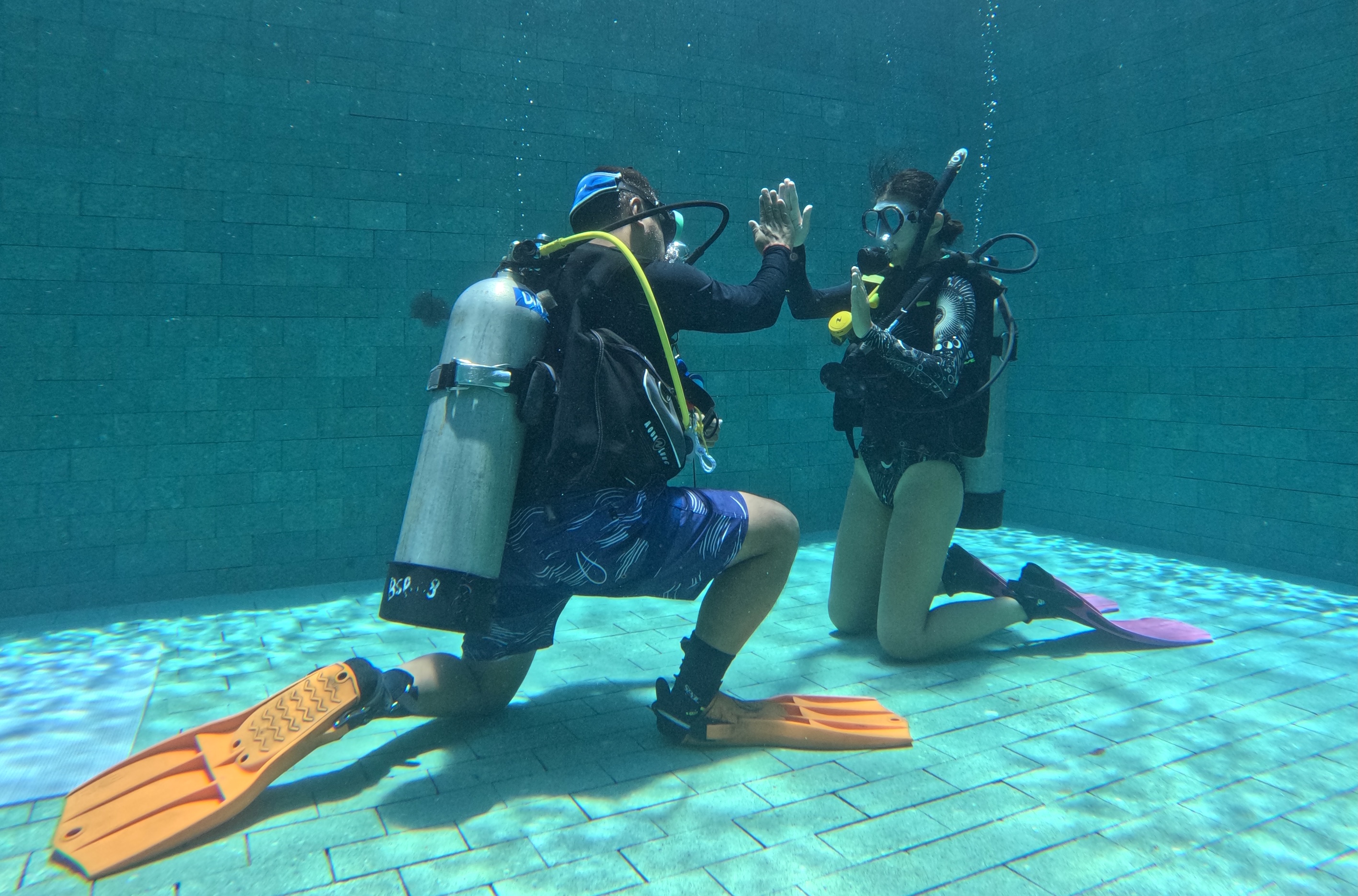 Where Will Dive?